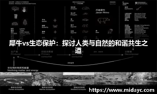 犀牛vs生态保护：探讨人类与自然的和谐共生之道